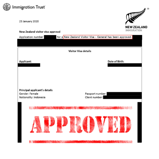 Successful Visitor Visa, Immigration New Zealand, Immigration Trust